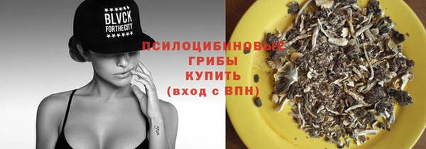 амф Алзамай