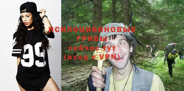 соль ск Алексеевка