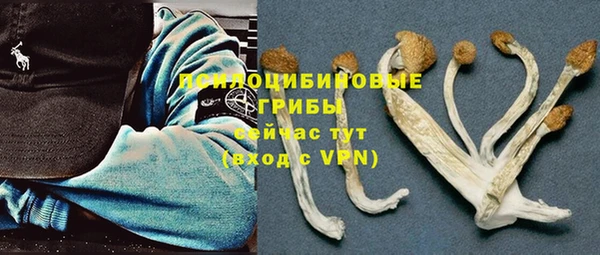 соль ск Алексеевка