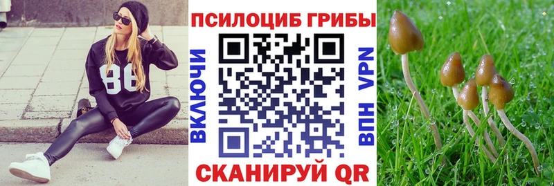Галлюциногенные грибы прущие грибы  наркота  Островной 